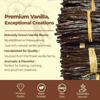 SPECIAL 12 lb. Bulk Gourmet Vanilla Beans – Premium Grade A Vanilla Bean Pods for Baking & Extract