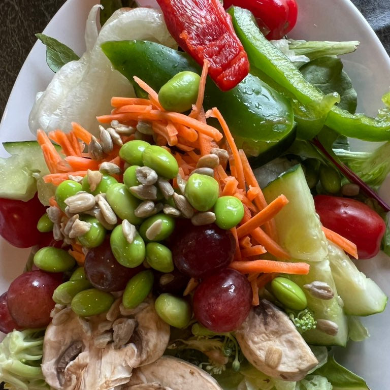 Custom Vegan 2-Week Travel Itinerary (US Travel Planning)