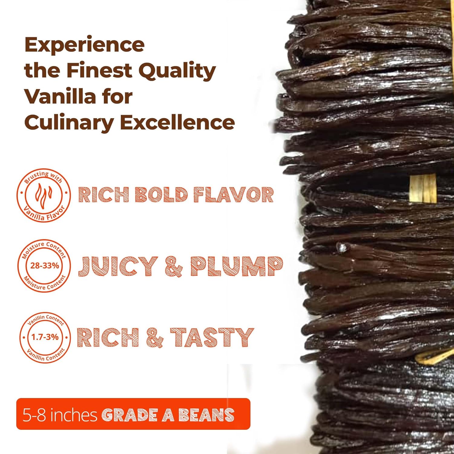 SPECIAL 12 lb. Bulk Gourmet Vanilla Beans – Premium Grade A Vanilla Bean Pods for Baking & Extract