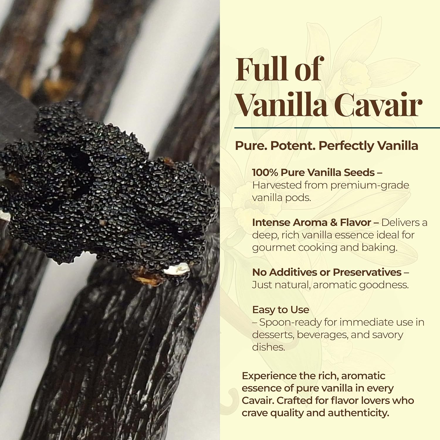 Premium Wholesale Ugandan Vanilla Beans for Baking & Extract