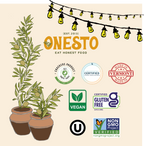 Onesto Gluten-Free Sea Salt Crackers