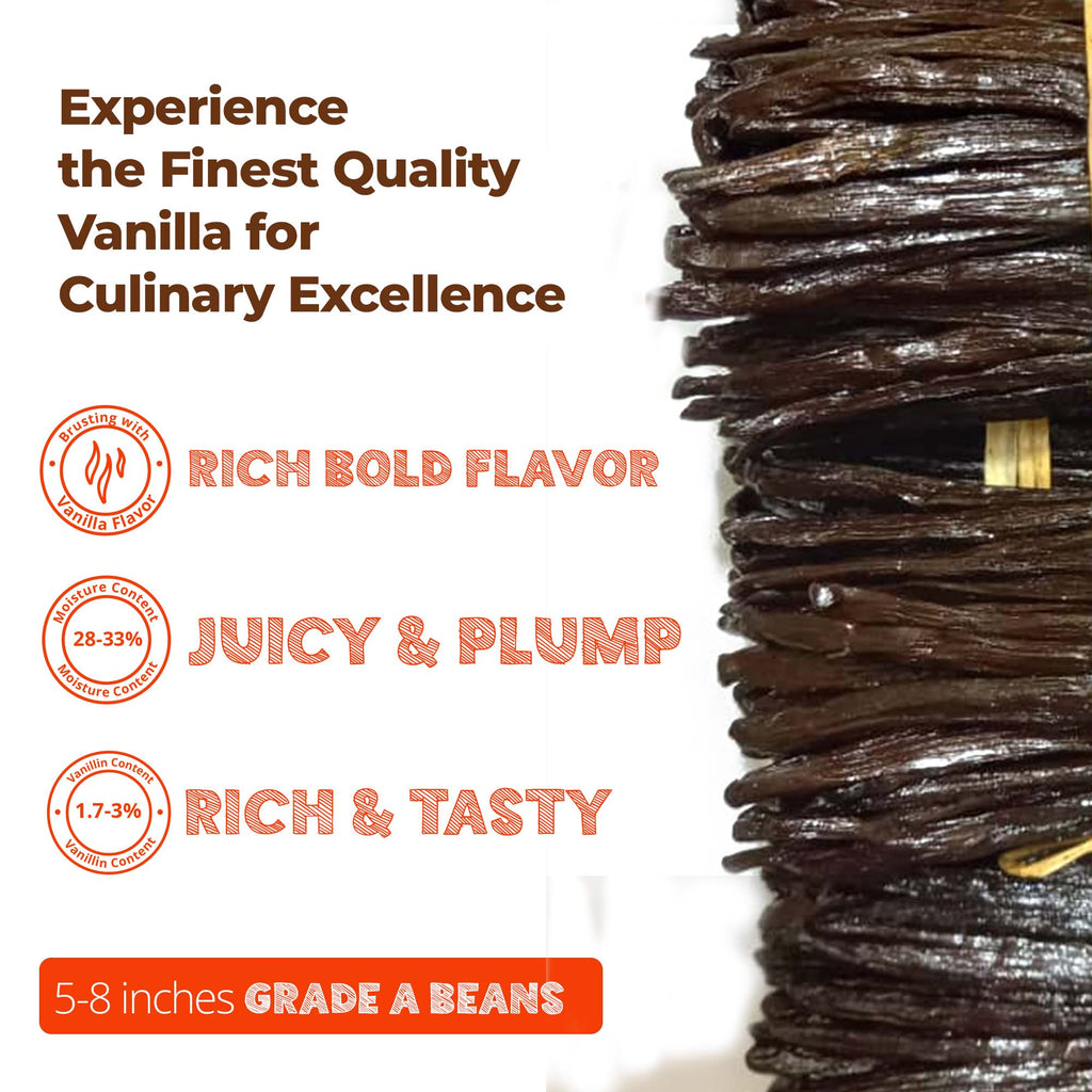 Premium Wholesale Ugandan Vanilla Beans for Baking & Extract