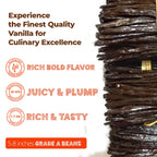 Premium Wholesale Ugandan Vanilla Beans for Baking & Extract