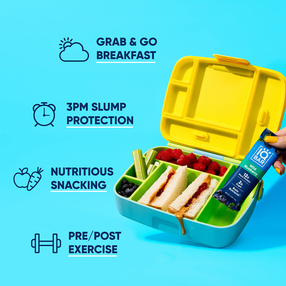 IQBAR Plant-Based Protein Bars