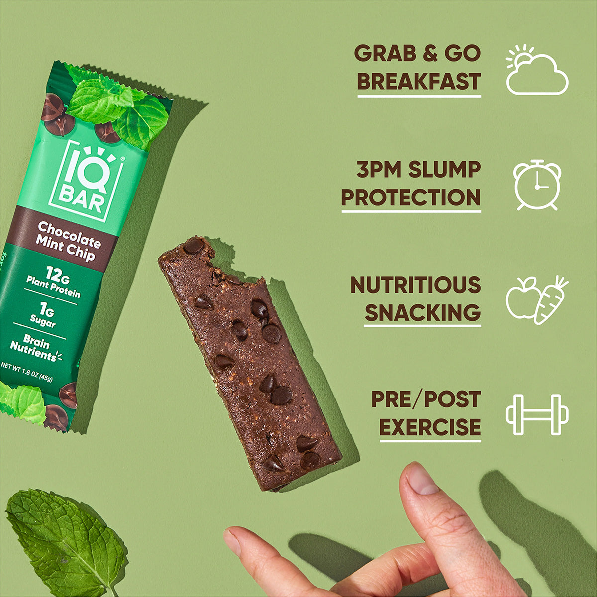 IQBAR Plant-Based Protein Bars