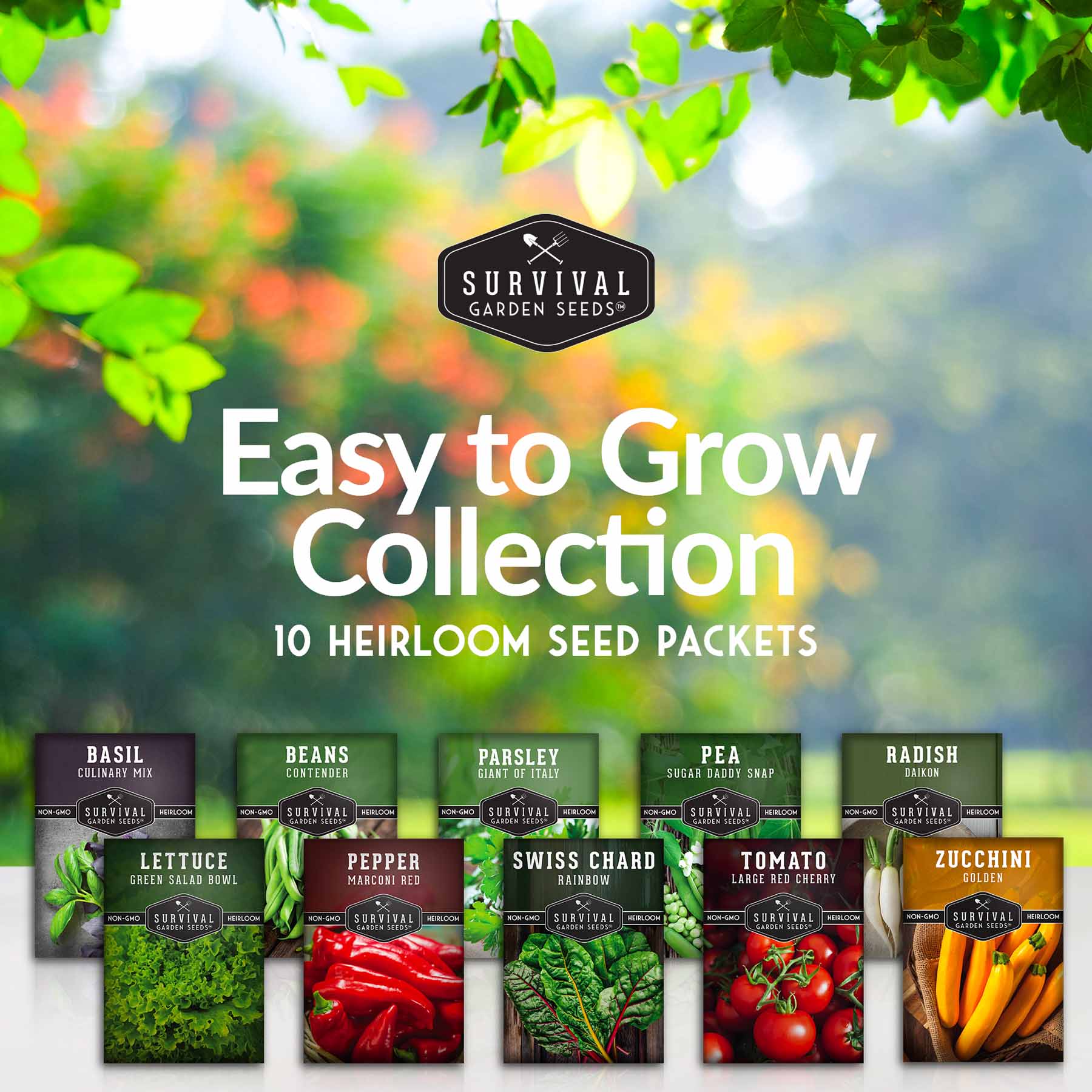 Easy-to-Grow Seed Collection – Beginner-Friendly Vegetables & Herbs for Quick, Reliable Harvests