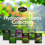 Indoor Herb Garden Hydroponic Seeds Collection – 6 Heirloom Non-GMO Culinary Herbs (Peppermint, Parsley, Cilantro, Basil, Chives & Sage) for Countertop, Tower & Year-Round Growing
