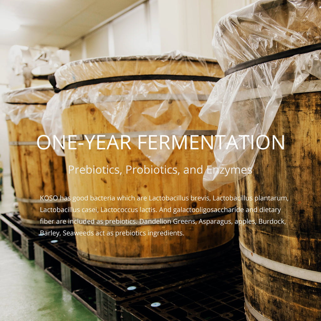 R's KOSO - Japanese Postbiotic Drink (474ml / 16oz)