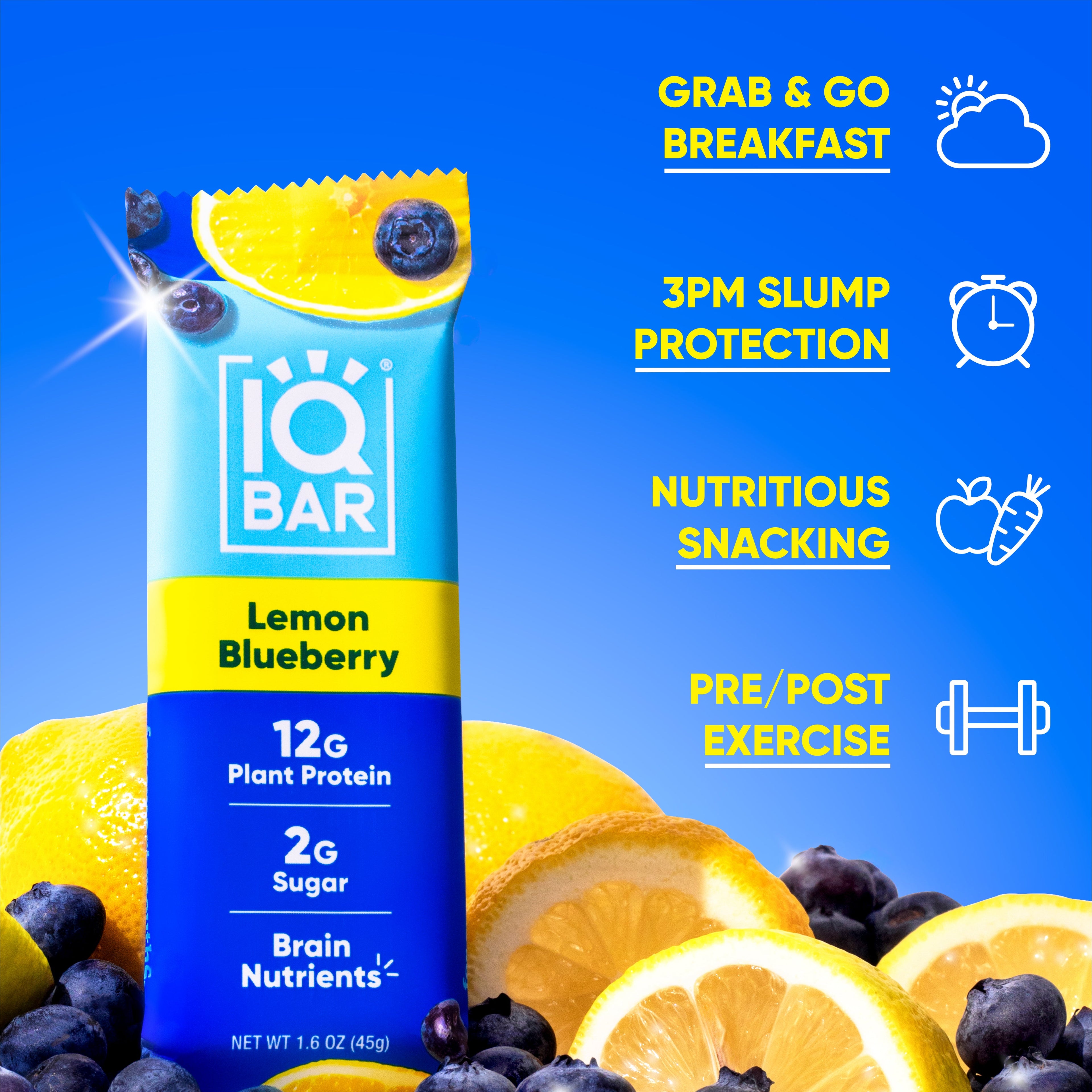 IQBAR Plant-Based Protein Bars