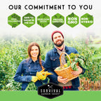 Lettuce Seed Collection – 5 Heirloom Varieties for Year-Round Harvest | Buttercrunch, Oakleaf, Lolla Rosa, Iceberg & Parris Island