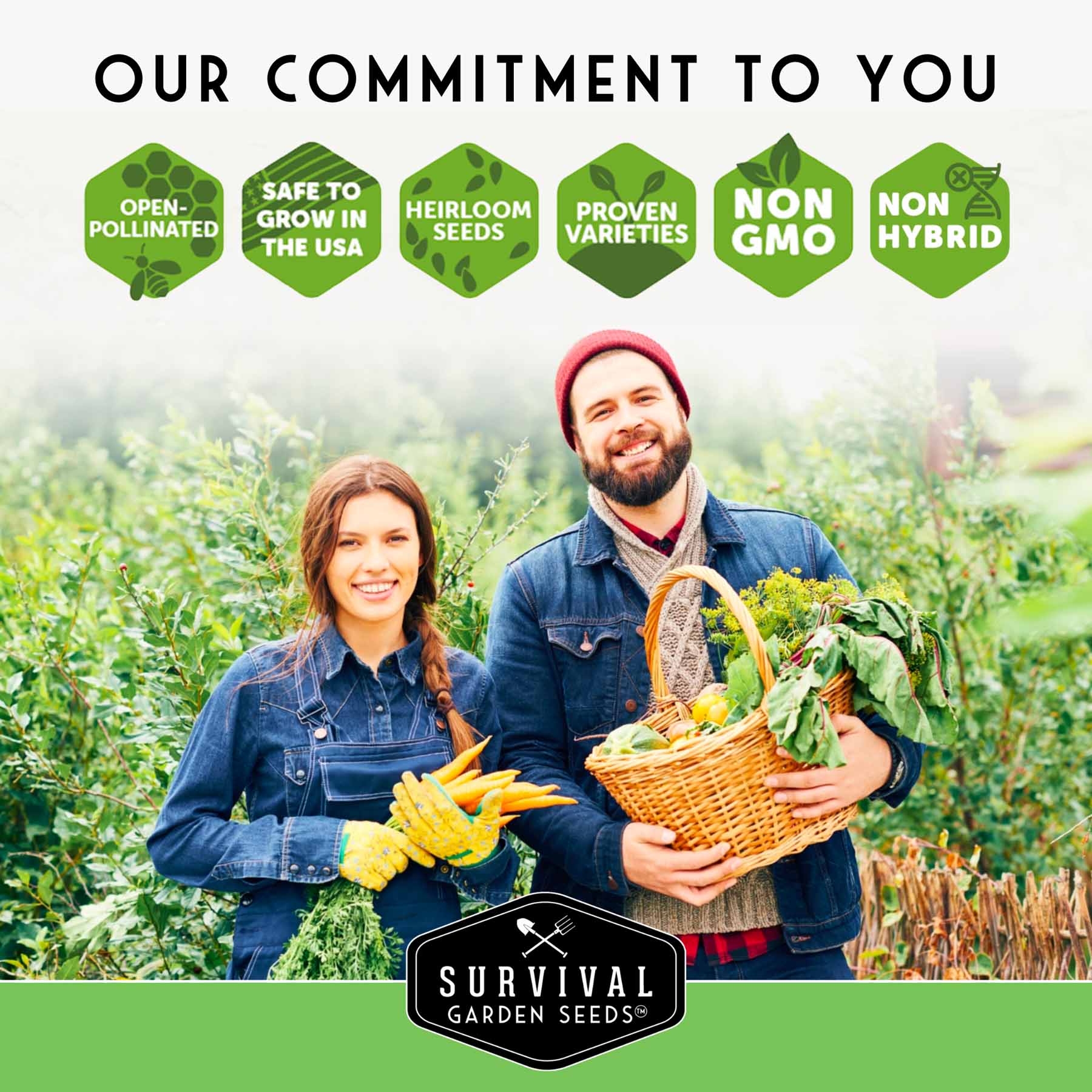 Lettuce Seed Collection – 5 Heirloom Varieties for Year-Round Harvest | Buttercrunch, Oakleaf, Lolla Rosa, Iceberg & Parris Island