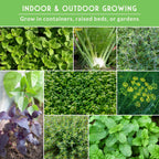 18 Culinary Herb Seed Collection – Heirloom Herbs for Cooking, Teas, Remedies & Year-Round Kitchen Gardens