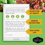 10 Lettuce Seed Collection – Looseleaf, Romaine, Butterhead & Crisphead Varieties for Year-Round Salad Harvests