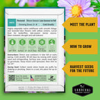 Native Habitat Seed Collection – 24 Native Wildflowers & Grasses for Pollinators, Meadows & Low-Maintenance Landscapes