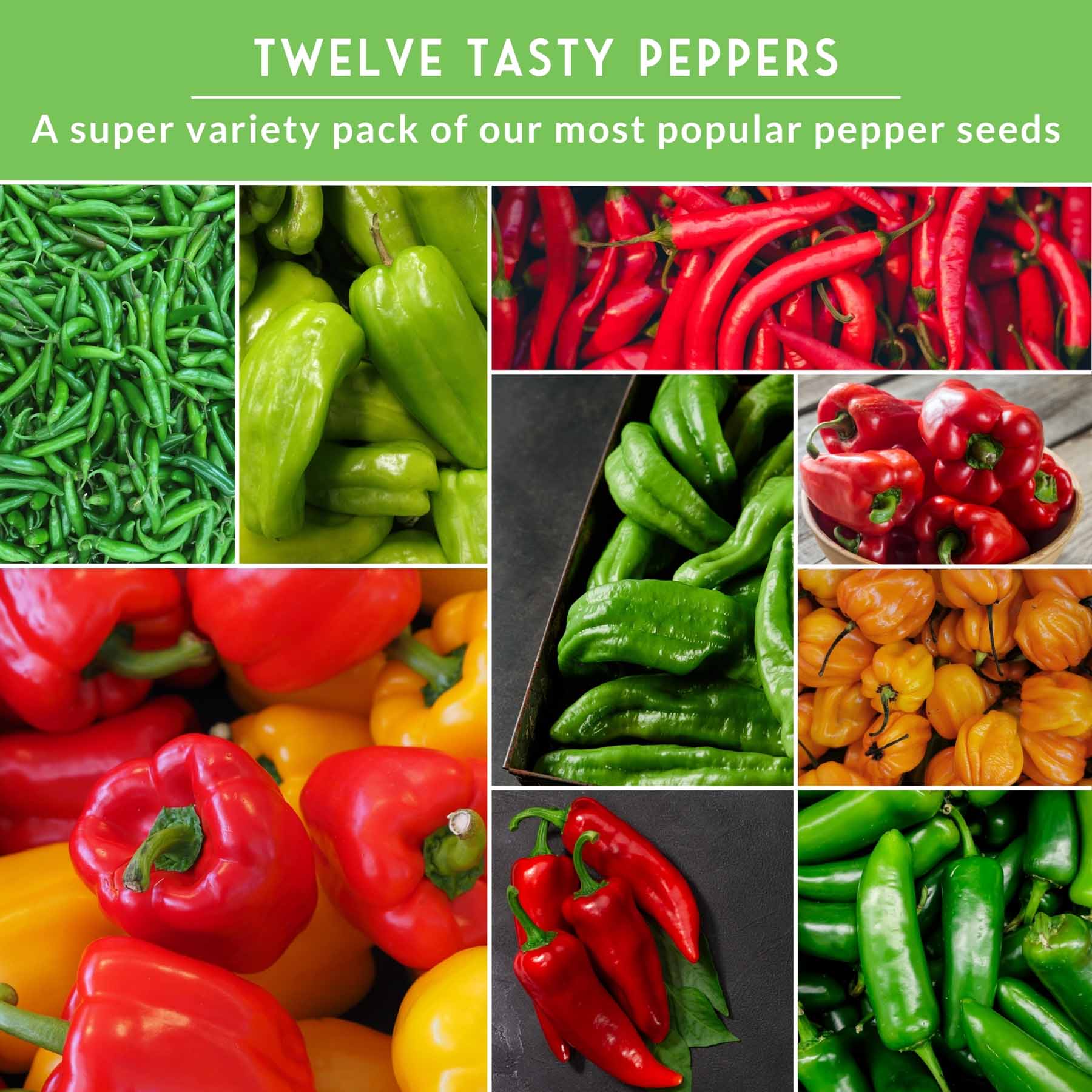 12-Variety Heirloom Pepper Seed Collection – Non-GMO Hot & Sweet Peppers for Home and Container Gardens