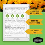 Sunflower Seed Collection – 6 Colorful, Pollinator-Friendly Varieties for Stunning Garden Displays