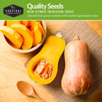 Squash Seed Collection – Zucchini, Yellow Summer, Butternut, Spaghetti & Acorn Varieties for Productive Summer and Winter Harvests