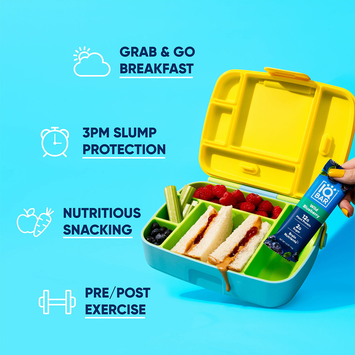 Wild Blueberry (12 Bars)