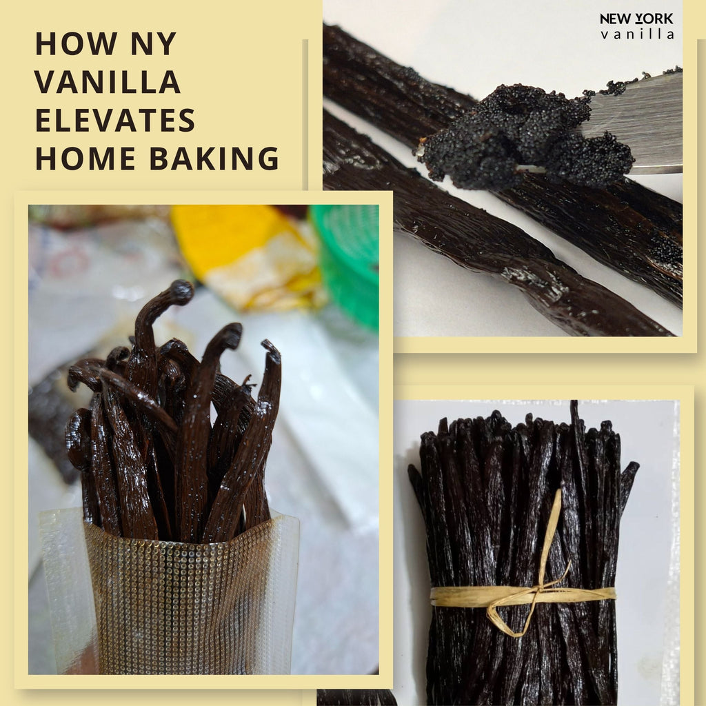 Premium Wholesale Ugandan Vanilla Beans for Baking & Extract