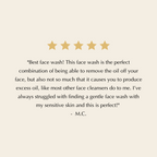 Gentle Foaming Facial Cleanser – Aloe, Apple & Ashwagandha for All Skin Types