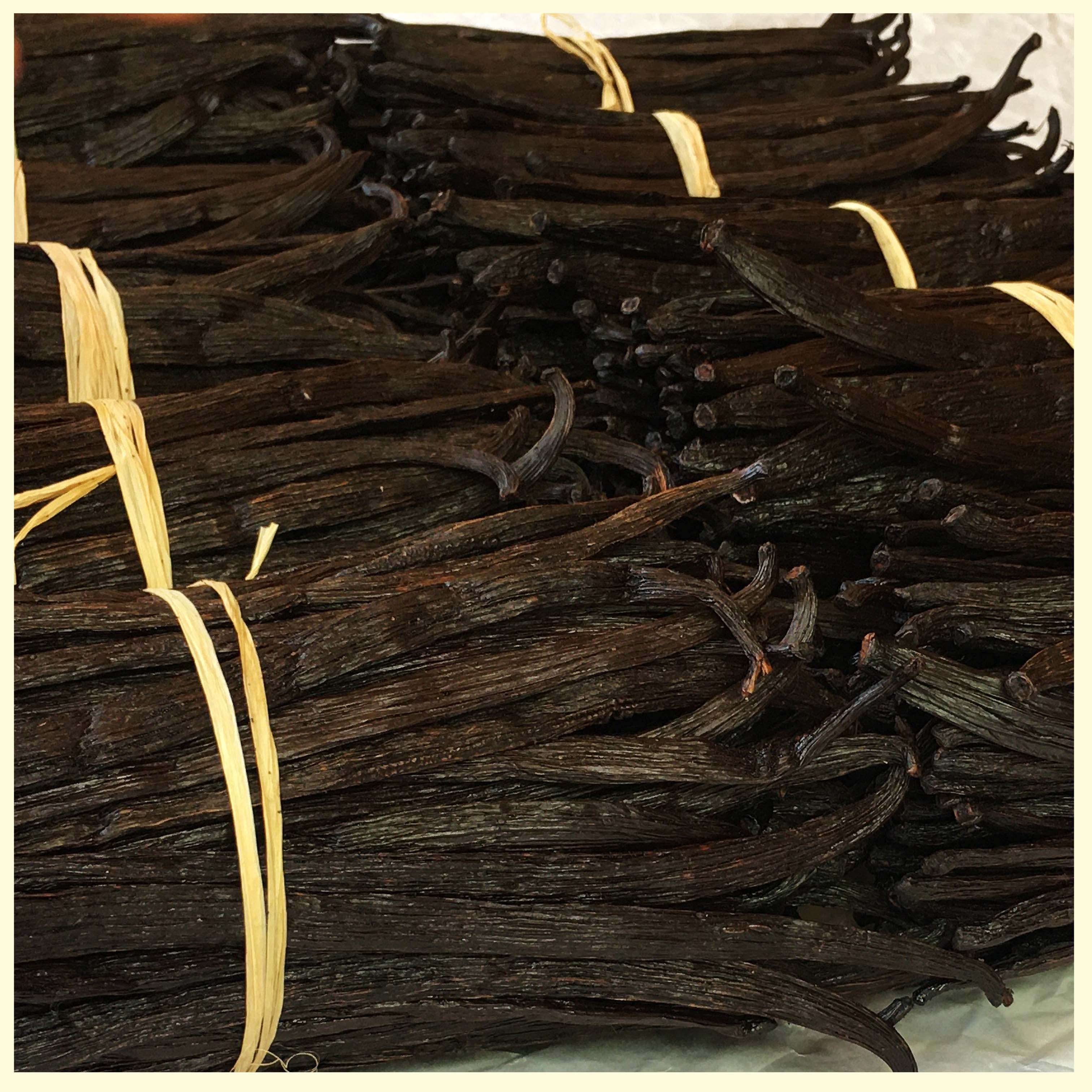 Premium Wholesale Ugandan Vanilla Beans for Baking & Extract